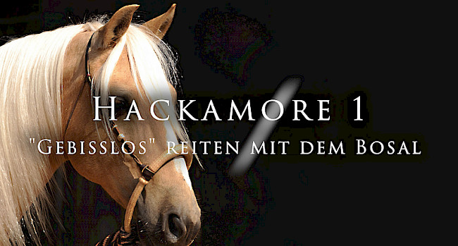 Intro & Vorschau | Hackamore 1