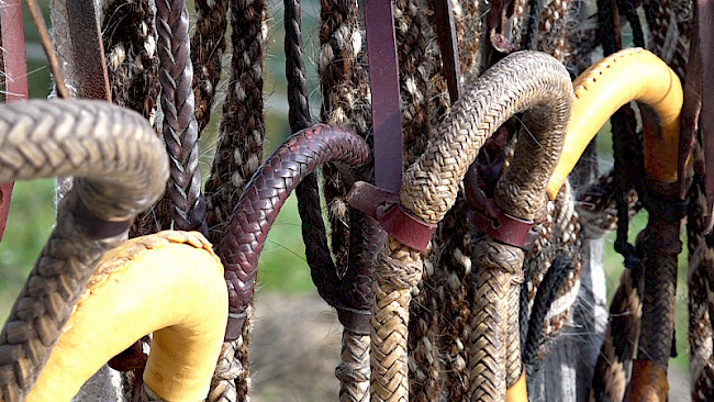 Überblick | Bosals und Mecaten