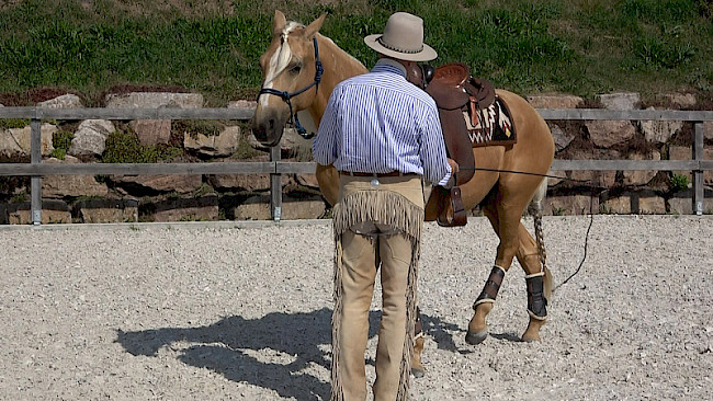 Sensibilisierung | Hinterhand