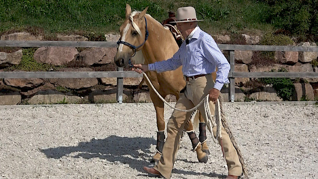 Sensibilisierung | Vorhand