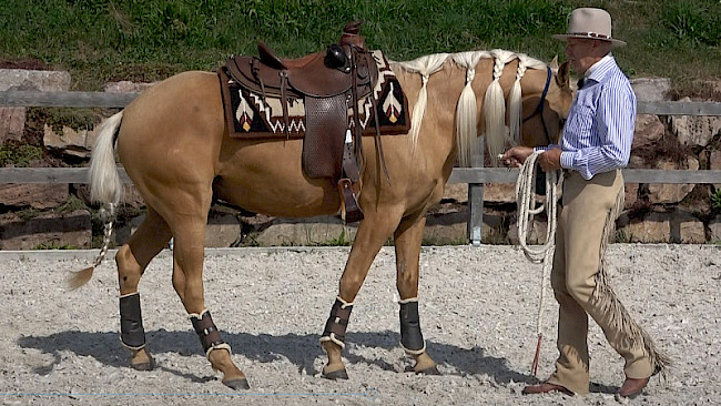 Rückwärts | gerade Linie