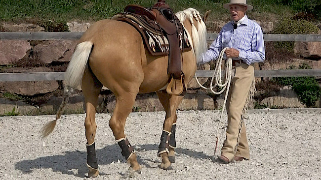 Rückwärts | auf Bögen