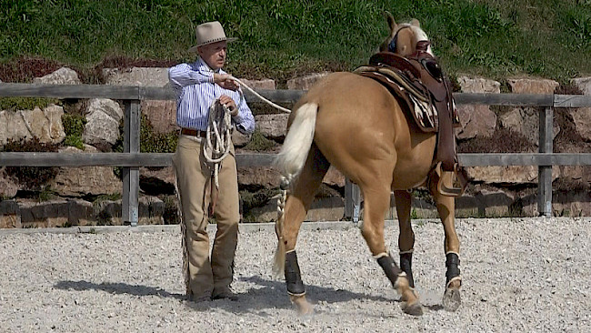 Balance-Übung | Prüfstein