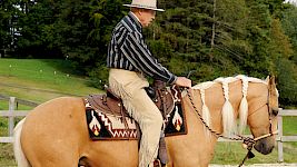 Erstes Reiten | Hackamore