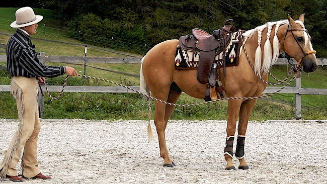 Anhalten auf Distanz