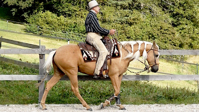 Schritt | Schlangenlinien
