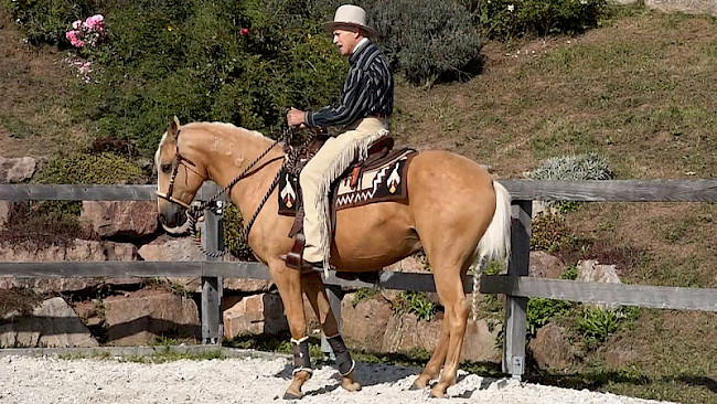 Hinterhand-Wendung | Bande