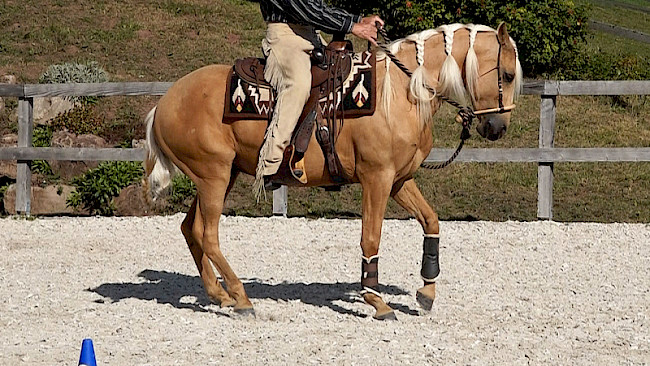 Kombi: Halt–Turn–Zirkel