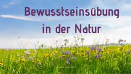 Übung #1: Bewusstseinsübung