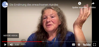 Zoom - monatliches Video-Gespräch