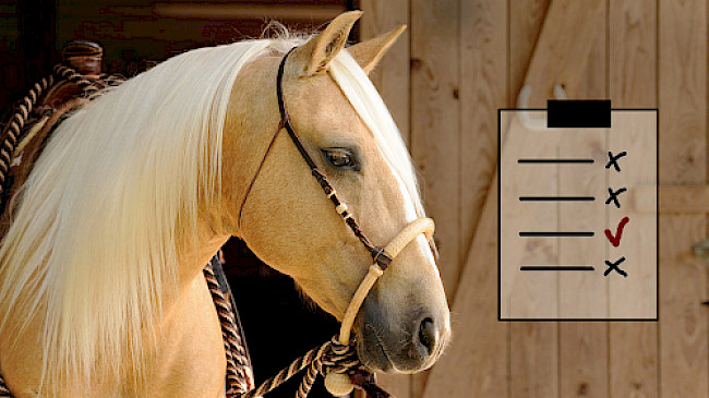 Selbststest – zur eigenen Überprüfung