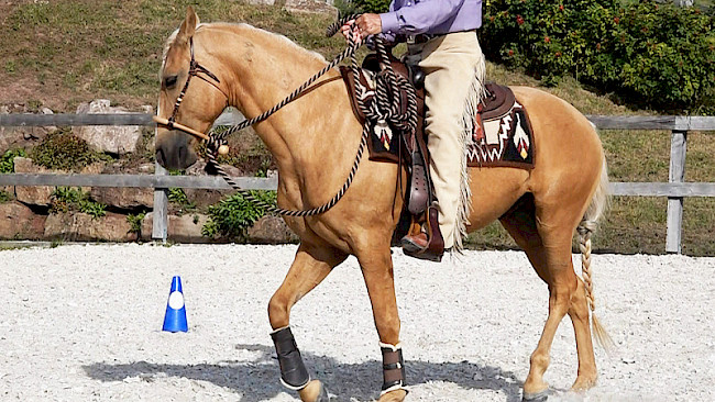 Achter in Schritt-Trab