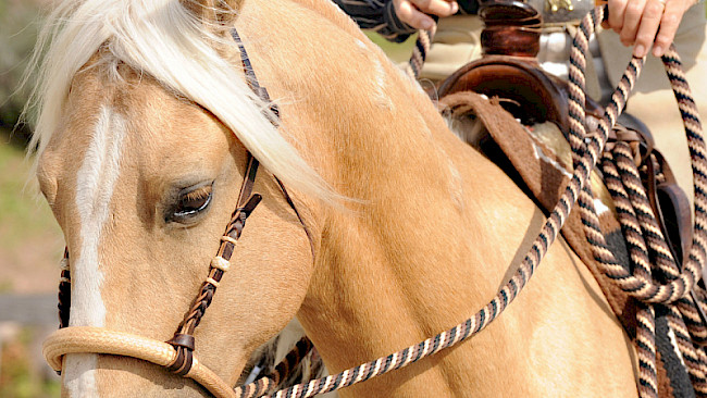 Trab–Zirkel–Volten