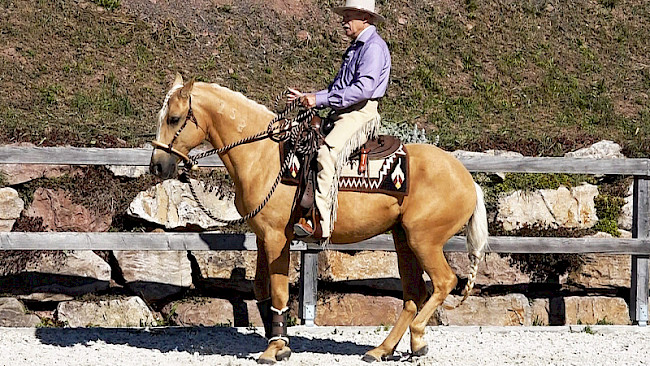 Trab | Turn zur Bande