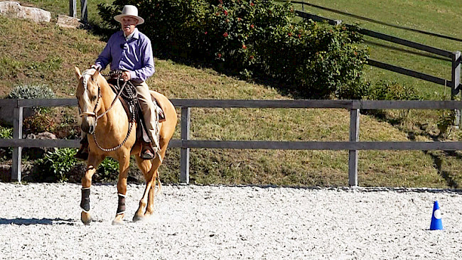 Trab | Mittellinie 2 Pylonen