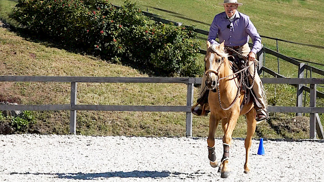 Galopp | Mittellinie 2 Pylonen