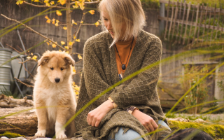 'Entspannt starten' - Welpenkurs