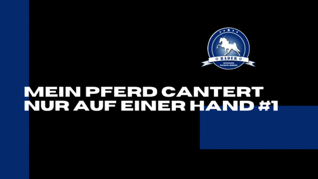 Mein Pferd Canter nur auf einer Hand #1