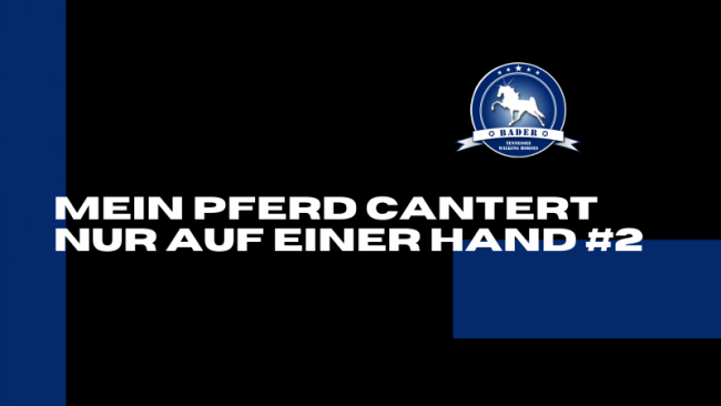 Online Training Mein Pferd Canter nur auf einer Hand #2