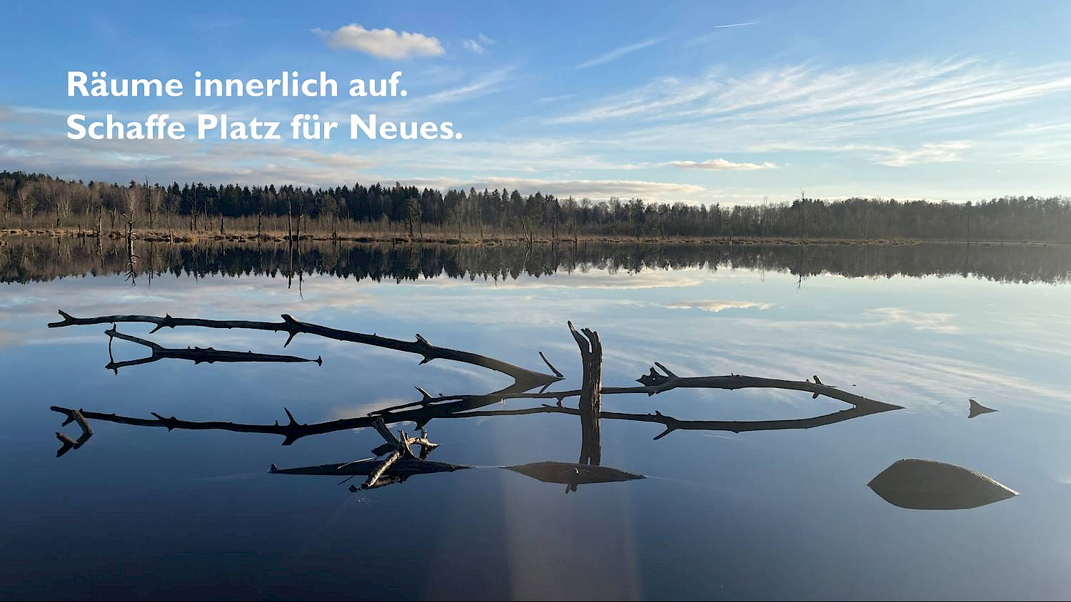 leitsatz_rauhnacht_01_klarheit_2024.1731948845.jpg