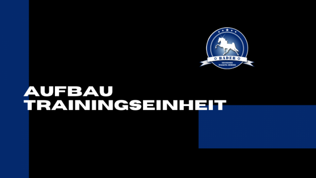 Aufbau Trainingseinheit