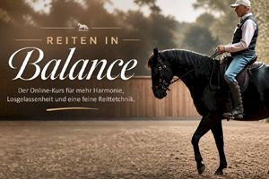 Reiten in Balance | TGT® WIN-WIN Übungen
