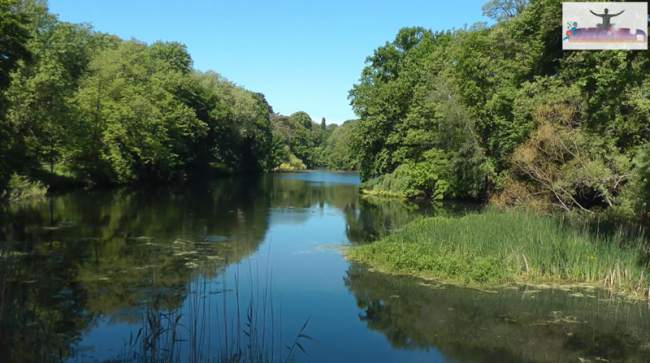 I7_Meditation "Tagesstartgedanken"