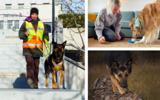 'Typgerechte Beschäftigung'