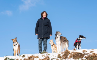 'Entspannt unterwegs' - Phase 2