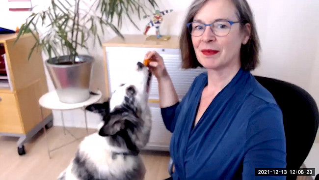 kauen - wie oft und warum?