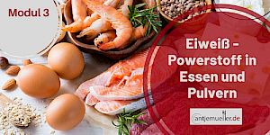 3-Eiweiß- Powerstoff im Essen und im Pulver