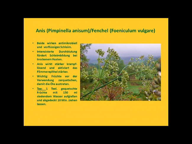 Modul 2 Lektion 2 Teil 1 - Antibakterielle und antivirale Heillpflanzen