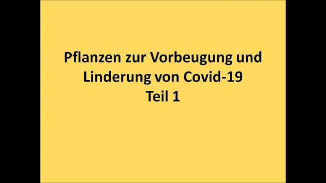 Hilfreiche Pflanzen Teil 1