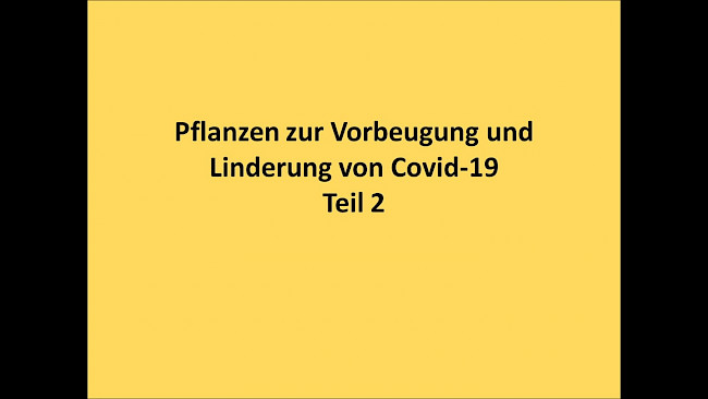 HIlfreiche Pflanzen Teil 2