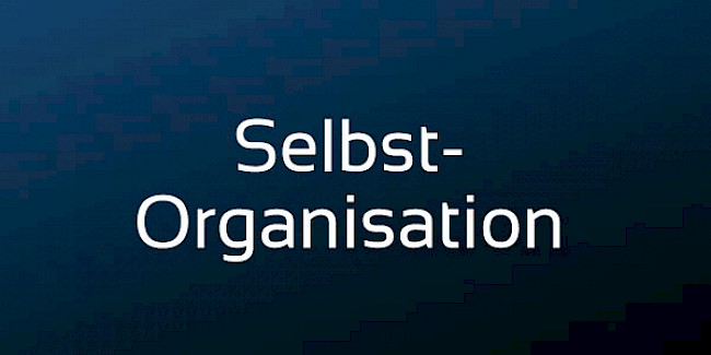 Selbst-Organisation
