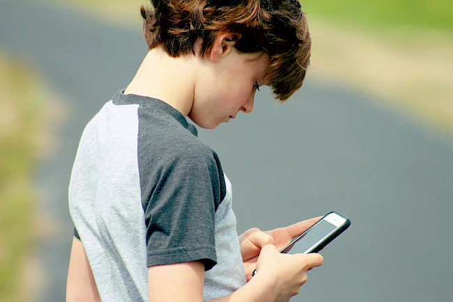 Die Brustwirbelsäule