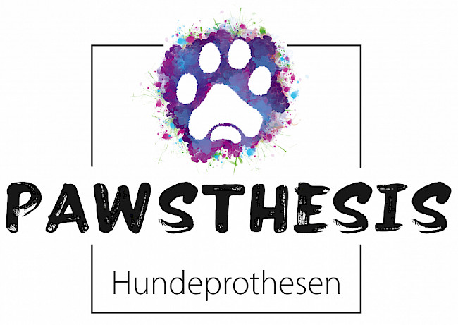 Abdrucknahme am beinamputierten Hund mit Stumpf