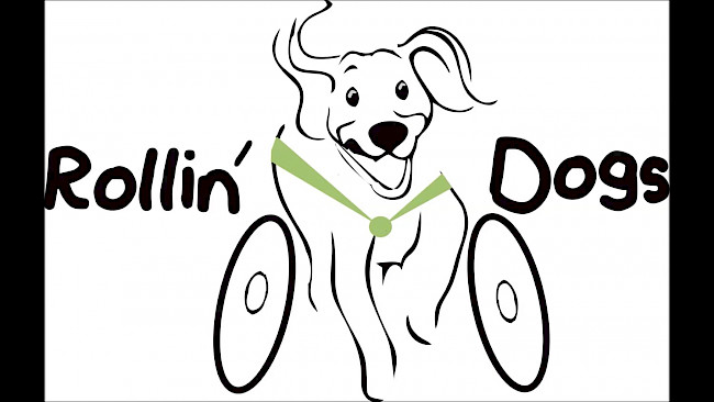 Grundlegendes über Behinderung, Rolli und Inkontinenz