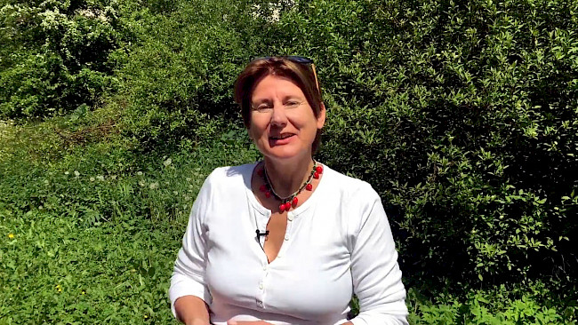 Wildkräuter-Kurs VIDEO 18: Löwenzahn