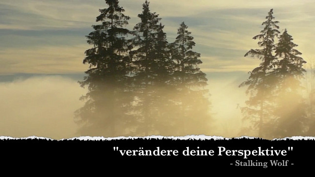 Fährtenlesen 3: Gangarten - Fuchs bei der Jagd