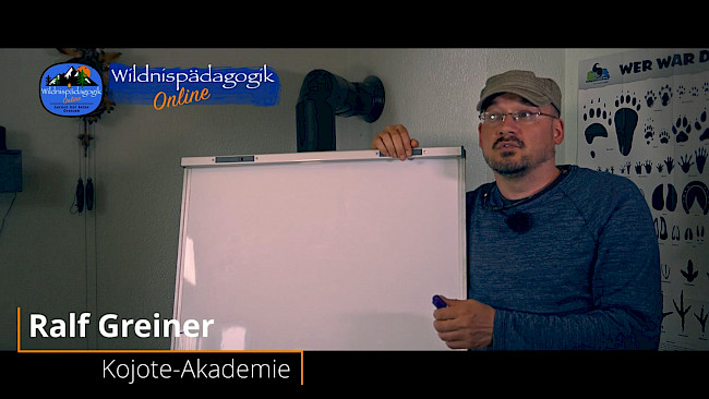 Fährtenlesen 5: Marder vs. Katze