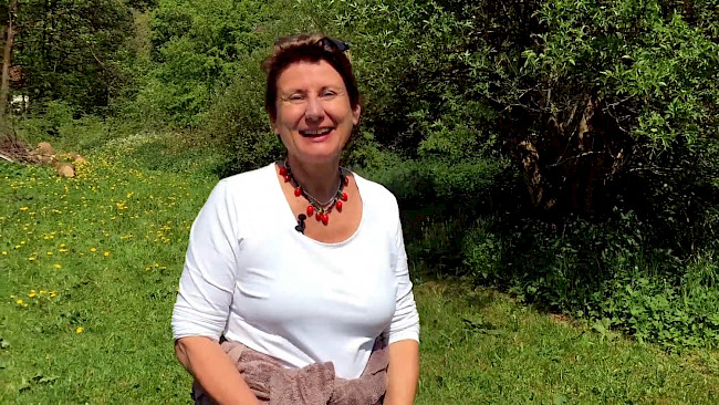 Wildkräuterkurs: VIDEO 17: Brennnessel