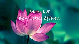 Woche 5: Öffne Deinen Inneren Lotus