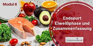 6 Endspurt Eiweißphase und Zusammenfassung