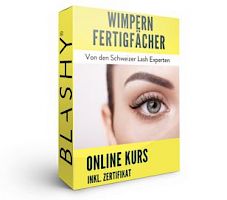 WIMPERN FERTIGFÄCHER AUFBAU KURS