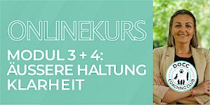 Äußere Haltung & Klarheit