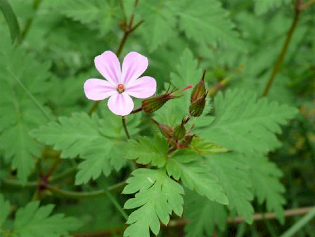 Meeting 9.3.22 Haut Gruppe 1