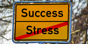 Optimieren ohne Stress