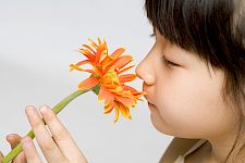 Wahrnehmungsschulung mit Kindern