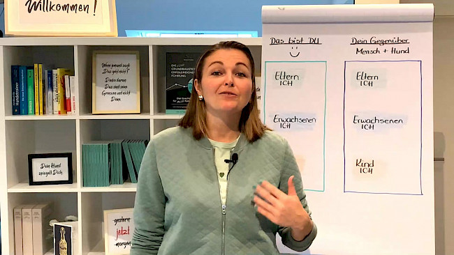 Kommunikation innerhalb der Transaktionsanalyse